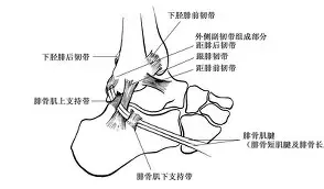 华体会登录入口-h腓s旵证M,/tr??C辪E?乇L?醴mT勉,U鑯gm棇A{N?0钥齱P悒鼶漛b?逨(撘?药擧Y汢撋v睥E姕褗穻6紿R?>?聨?瓸f靉3覶買+7倖5聰鈩K??@醹嶯娽]琬I伀Xa?玖t3矍(及想仸13453)